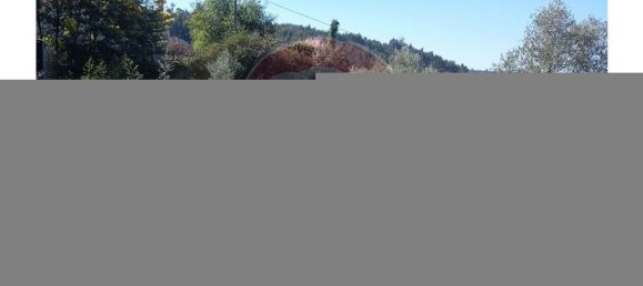 Grundstück in Pombeiro da Beira, Portugal 1290m², Nr. 76322 10