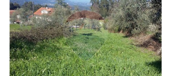 Grundstück in Pombeiro da Beira, Portugal 1290m², Nr. 76322 16