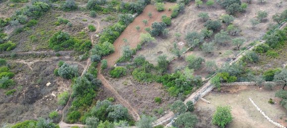 قطعة أرض في Sao Bras de Alportel, Portugal 1000متر مربع رقم 155292 4