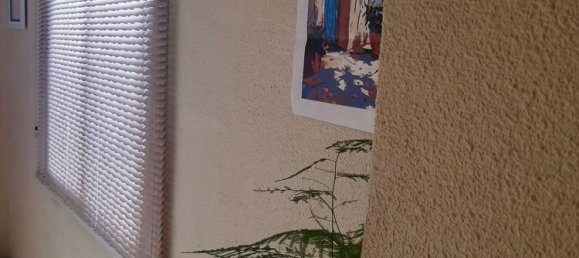 3 غرف نوم شقة في Alicante, Spain رقم 183351 15