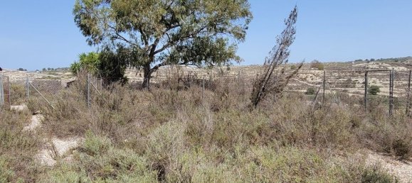 Casa T4 em Torremendo, Spain N.º 185155 26