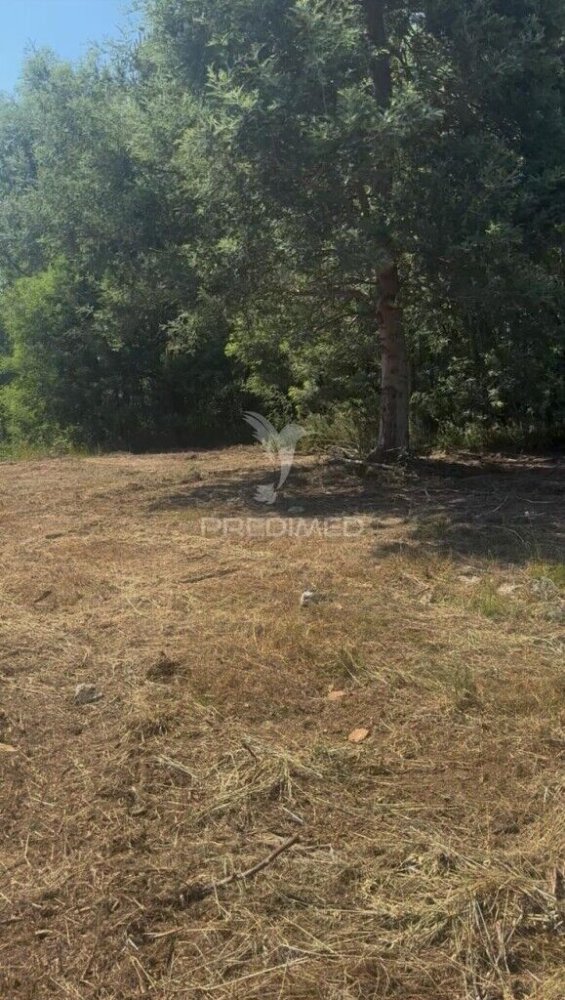 545m² Land in Amarante, Portugal No. 241905