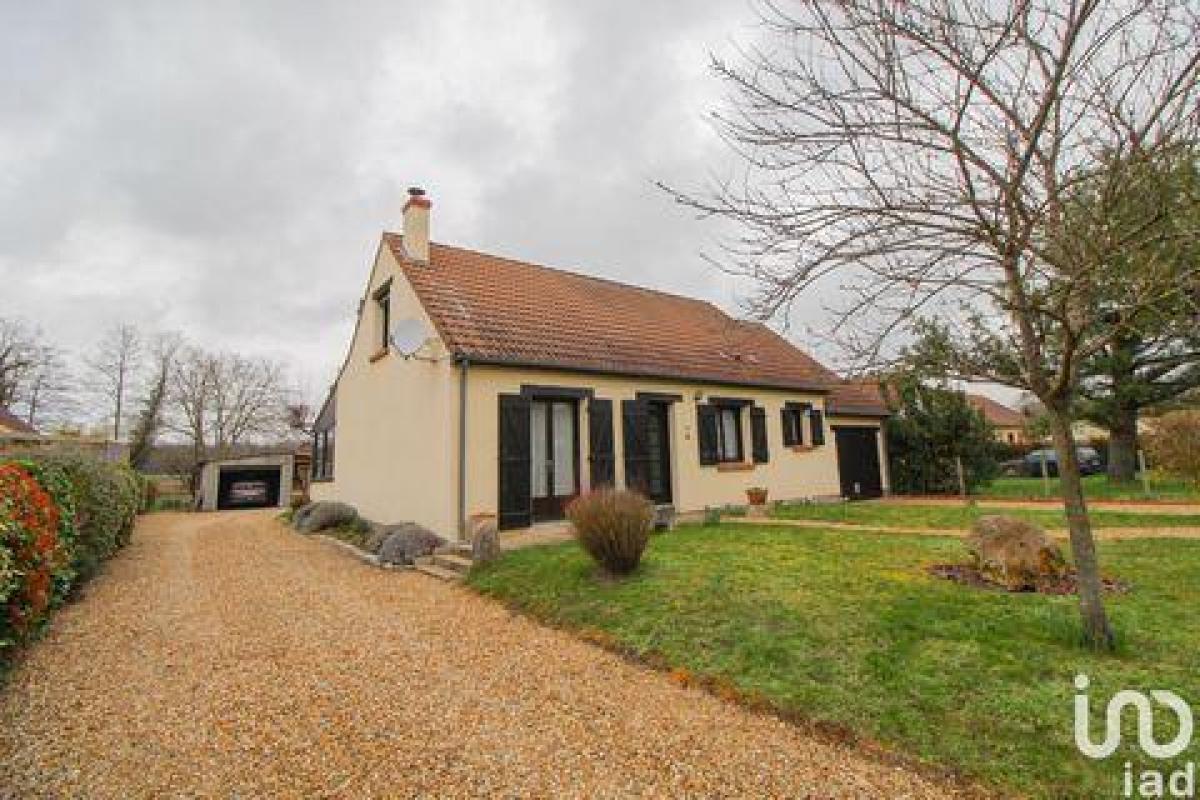 4 bedrooms House in Villemandeur, France No. 3937