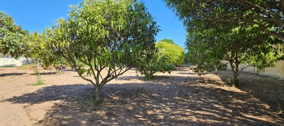 3 rooms House in Sorso, Italy No. 309036 50