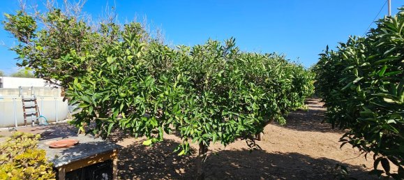 3 rooms House in Sorso, Italy No. 309036 49