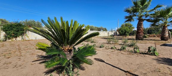 3 rooms House in Sorso, Italy No. 309036 46