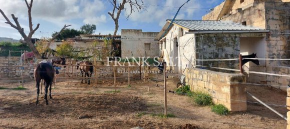 Casa em Qormi, Malta N.º 255 5