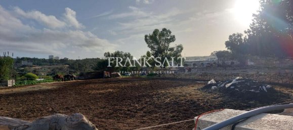 Casa em Qormi, Malta N.º 255 3