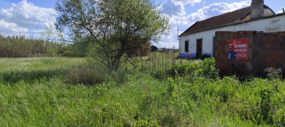 Terreno em Moita, Portugal 6950 m² N.º 76661 11