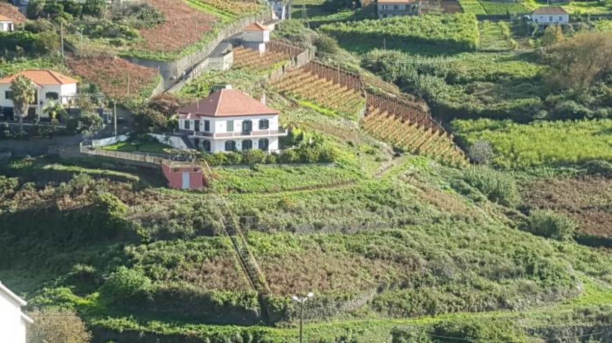  قطعة أرض في Ribeira Brava, Portugal 18000متر مربع رقم 2022