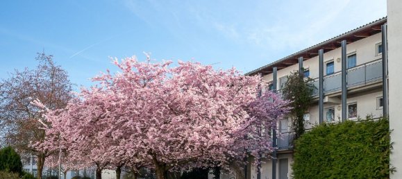 Estudio en Leipzig, Germany No. 22623 2