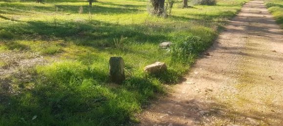 6000m² Land in Porto Cesareo, Italy No. 288884 4