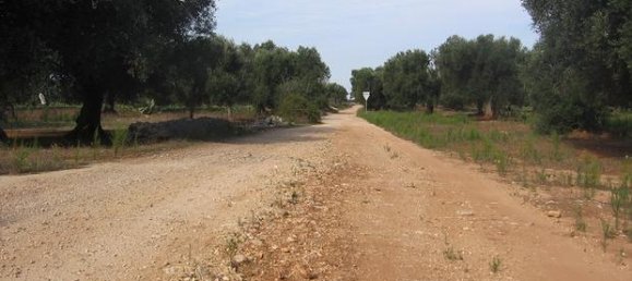 6000m² Land in Porto Cesareo, Italy No. 288884 5