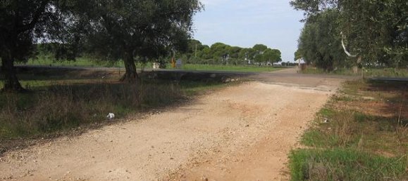 6000m² Land in Porto Cesareo, Italy No. 288884 6
