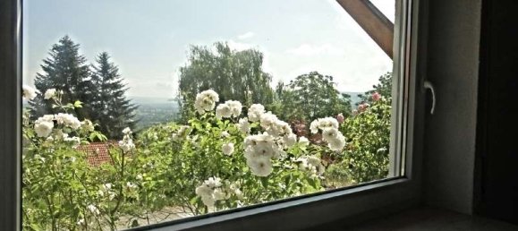 2 chambres Appartement à Goppingen, Germany No. 63352 13