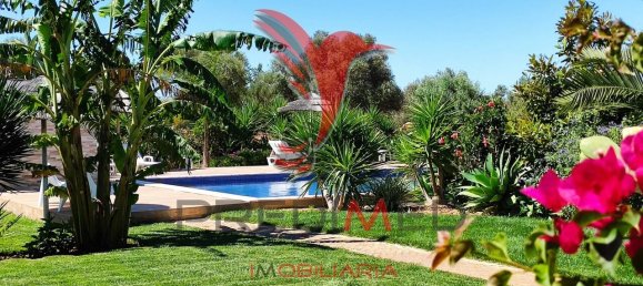 8 bedrooms House in Silves, Portugal No. 129781 6