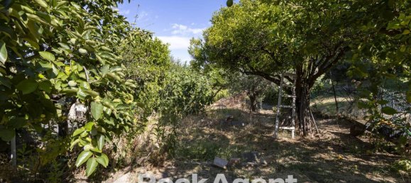 3 chambres Villa à Catanzaro, Italy No. 291248 4