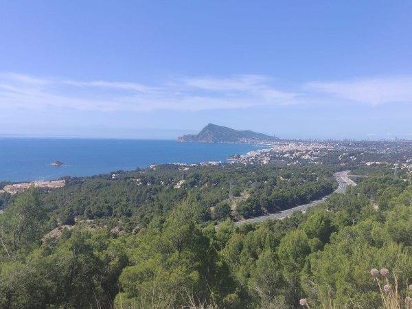 Земельный участок 3000м² в Алтея, Испания № 116793