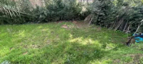 2 bedrooms House in Barcelona, Spain No. 183826 2