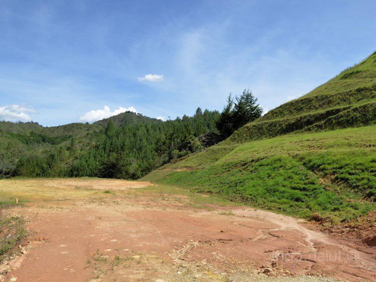 Terreno en Antioquia, Colombia No. 102