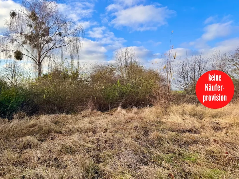  Land in Vorpommern-Greifswald, Germany No. 212424