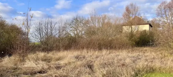  Land in Vorpommern-Greifswald, Germany No. 212424 2