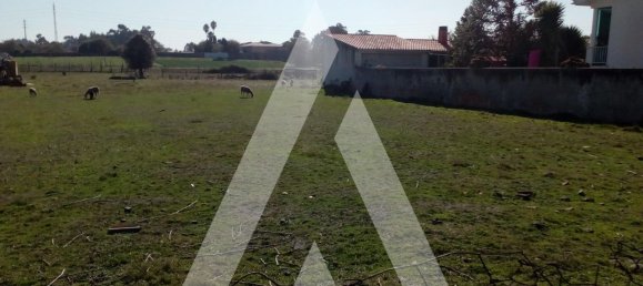 568m² Land in Oliveirinha, Portugal No. 92676 5