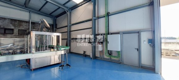 1 bedroom Commercial property in Ilhavo, Portugal No. 162810 5