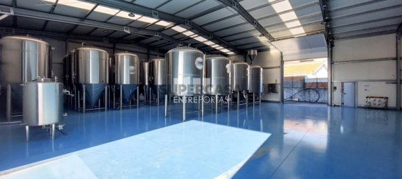 1 bedroom Commercial property in Ilhavo, Portugal No. 162810 2