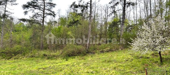 7 bedrooms Villa in Gorreto, Italy No. 79787 16