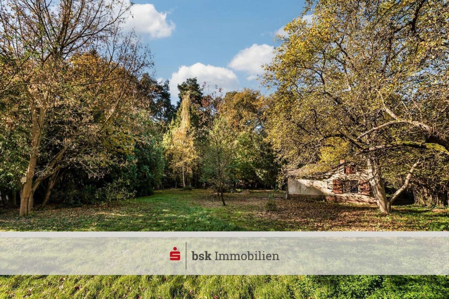  Land in Schmockwitz, Germany No. 95919