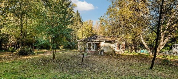  Land in Schmockwitz, Germany No. 95919 2