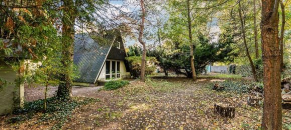  Land in Schmockwitz, Germany No. 95919 6