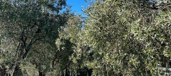 4غرفة منزل في Uzzano, Italy رقم 73705 23