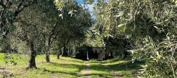 4غرفة منزل في Uzzano, Italy رقم 73705 24