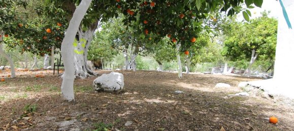 200m² Commercial property in Corfu, Greece No. 6316 20