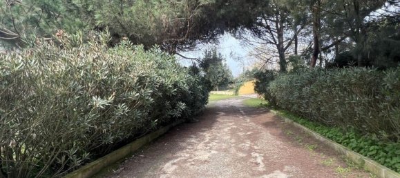 9 غرف نوم منزل في Pontevel, Portugal رقم 111415 8