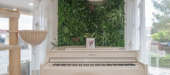 3 غرف نوم منزل في Sintra, Portugal رقم 146969 4