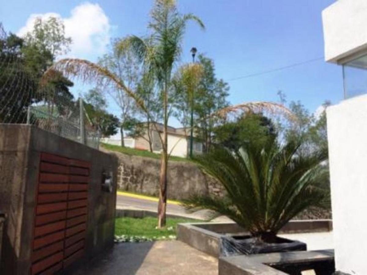3 bedrooms House in Ciudad Lopez Mateos, Mexico No. 209159