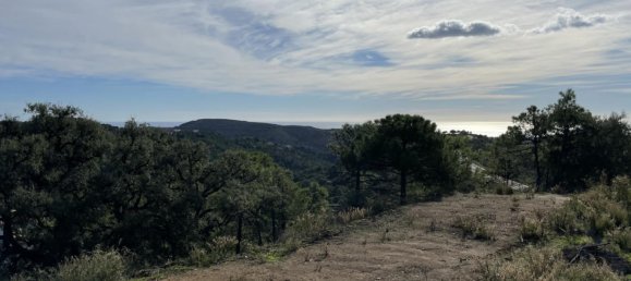 Terreno en Málaga, Spain No. 84562 13