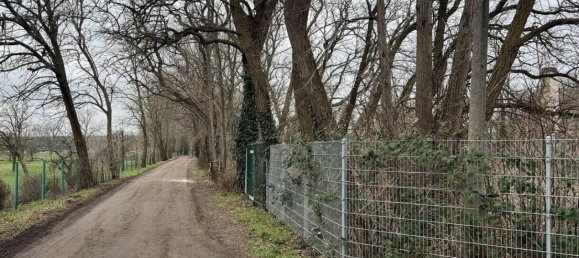 Terreno em Potsdam-Mittelmark, Germany N.º 220279 2