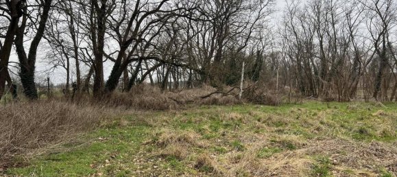 Terreno em Potsdam-Mittelmark, Germany N.º 220279 4