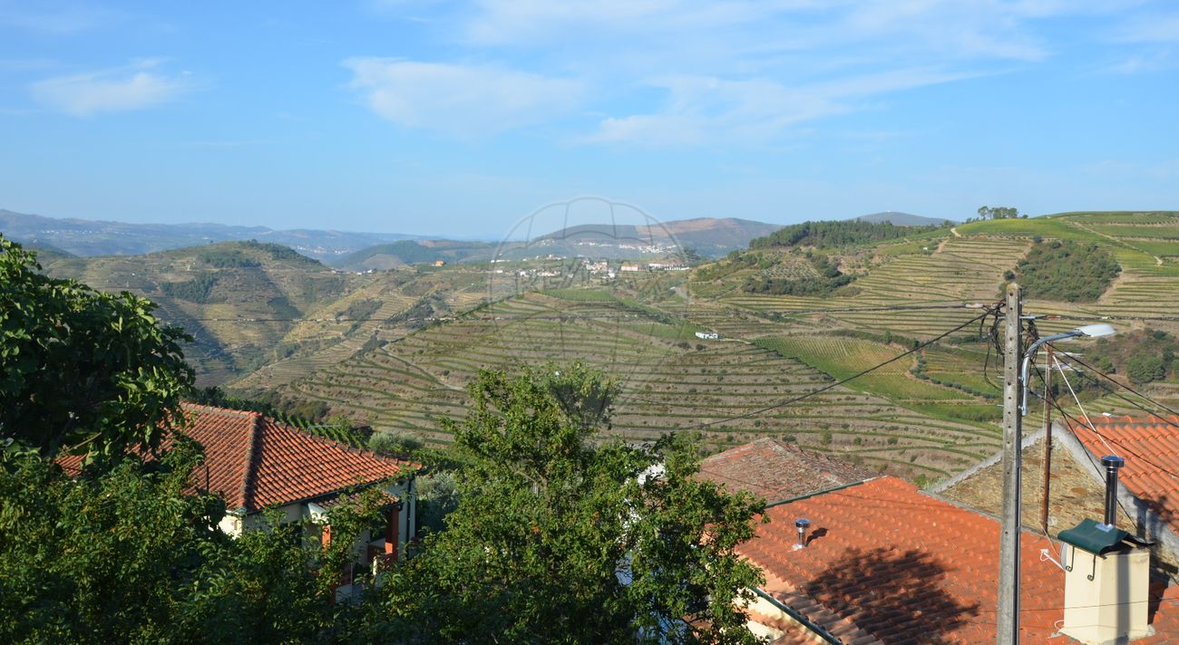 4 bedrooms House in Alijo, Portugal No. 169803