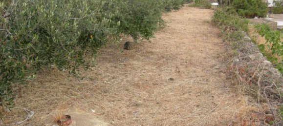 Casa de 4 habitaciónes en Pantelleria, Italy No. 251408 32