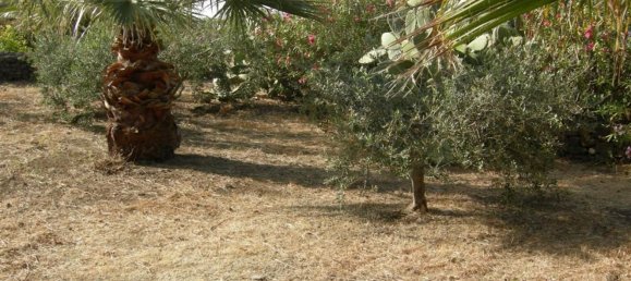 Casa de 4 habitaciónes en Pantelleria, Italy No. 251408 31