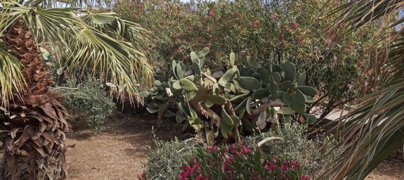 Casa de 4 habitaciónes en Pantelleria, Italy No. 251408 24