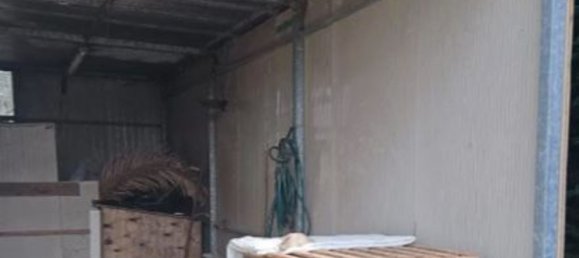 3 rooms Apartment in Bellaria Igea Marina, Italy No. 11439 10