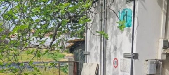 3 rooms Apartment in Bellaria Igea Marina, Italy No. 11439 9