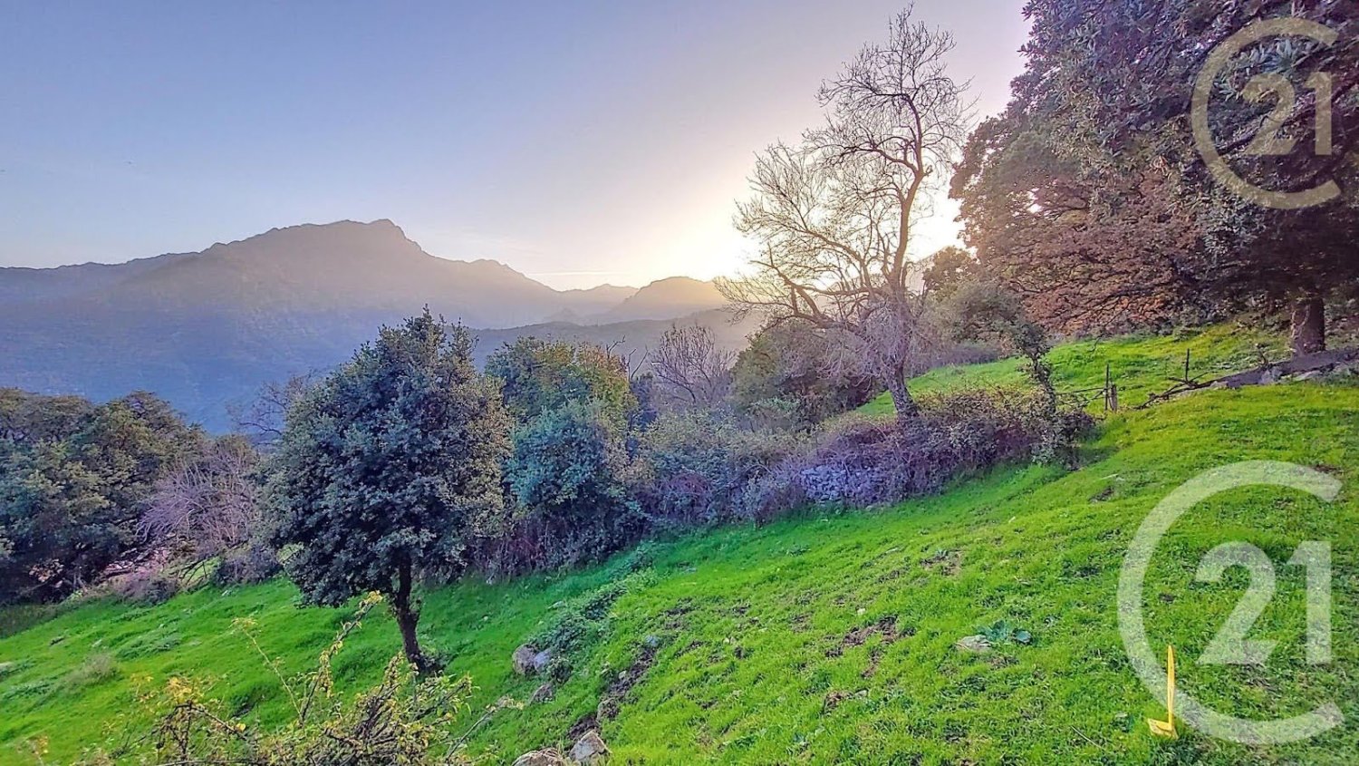 Terreno em Olmi-Cappella, France 1819 m² N.º 217069