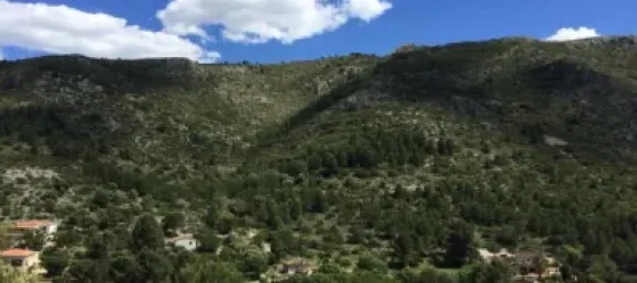 قطعة أرض في Pedreguer, Spain 854متر مربع رقم 190549 16